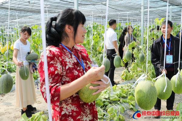 福建：武夷山举办 “朱子故里 瓜果飘···