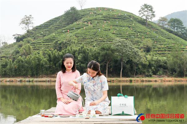 福建:武夷山茶人户外摆茶席