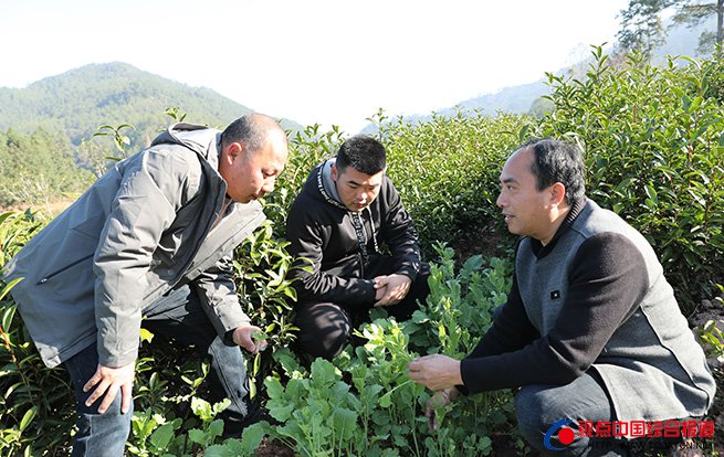 福建武夷山节后上班第一天 送科技进田···