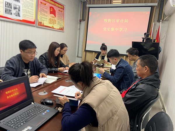 牧野区审计局：学党史 汲取奋进力量
