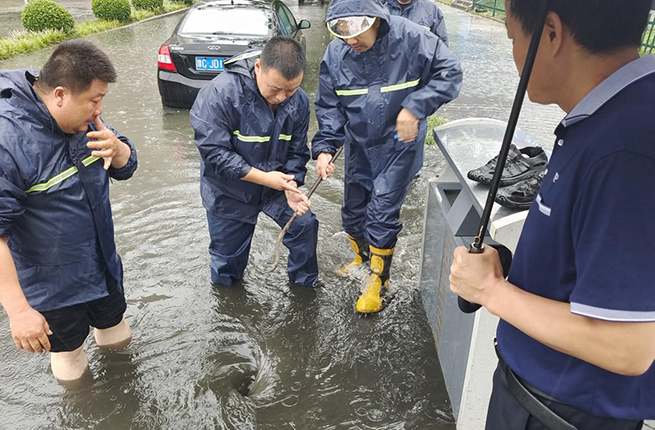 确保安全度汛  洛龙区领导率队检查防···