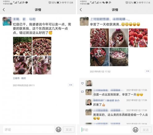 晾晒着的红菇“飞”了，谁是偷菇“大盗···